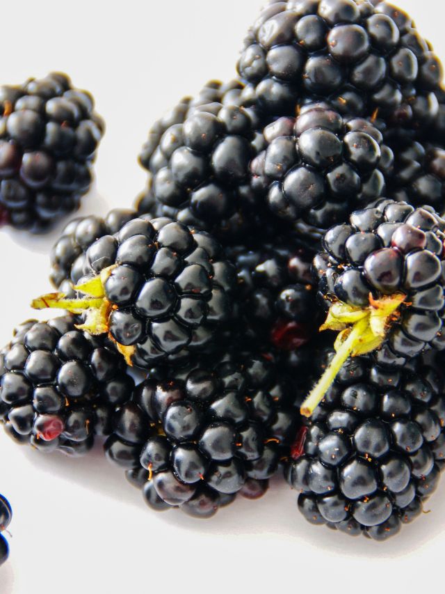 Are Blackberries Safe for Cats?