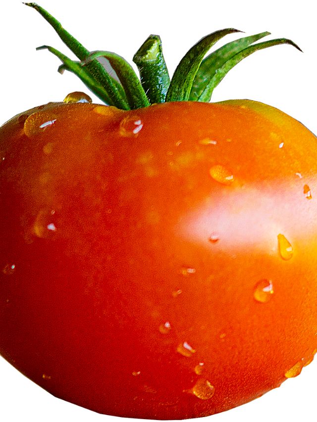 Tomato Nutrition Facts