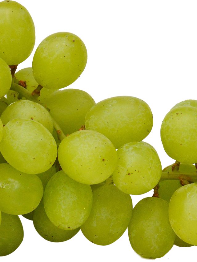 Top 6 Health Benefits of Grapes