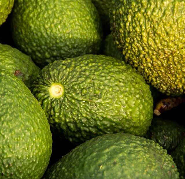 Is Avocado a Fruit or a Vegetable?