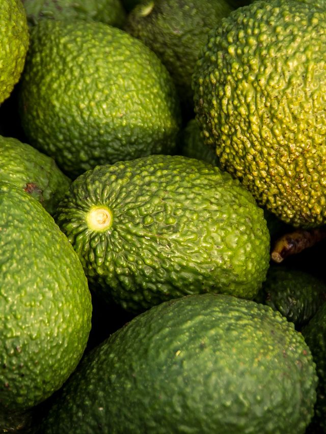 Is Avocado a Fruit or a Vegetable?