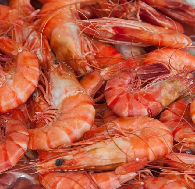 Side-effects of shrimp on children