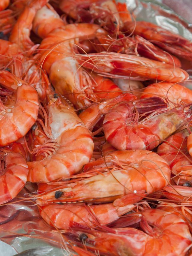 Side-effects of shrimp on children